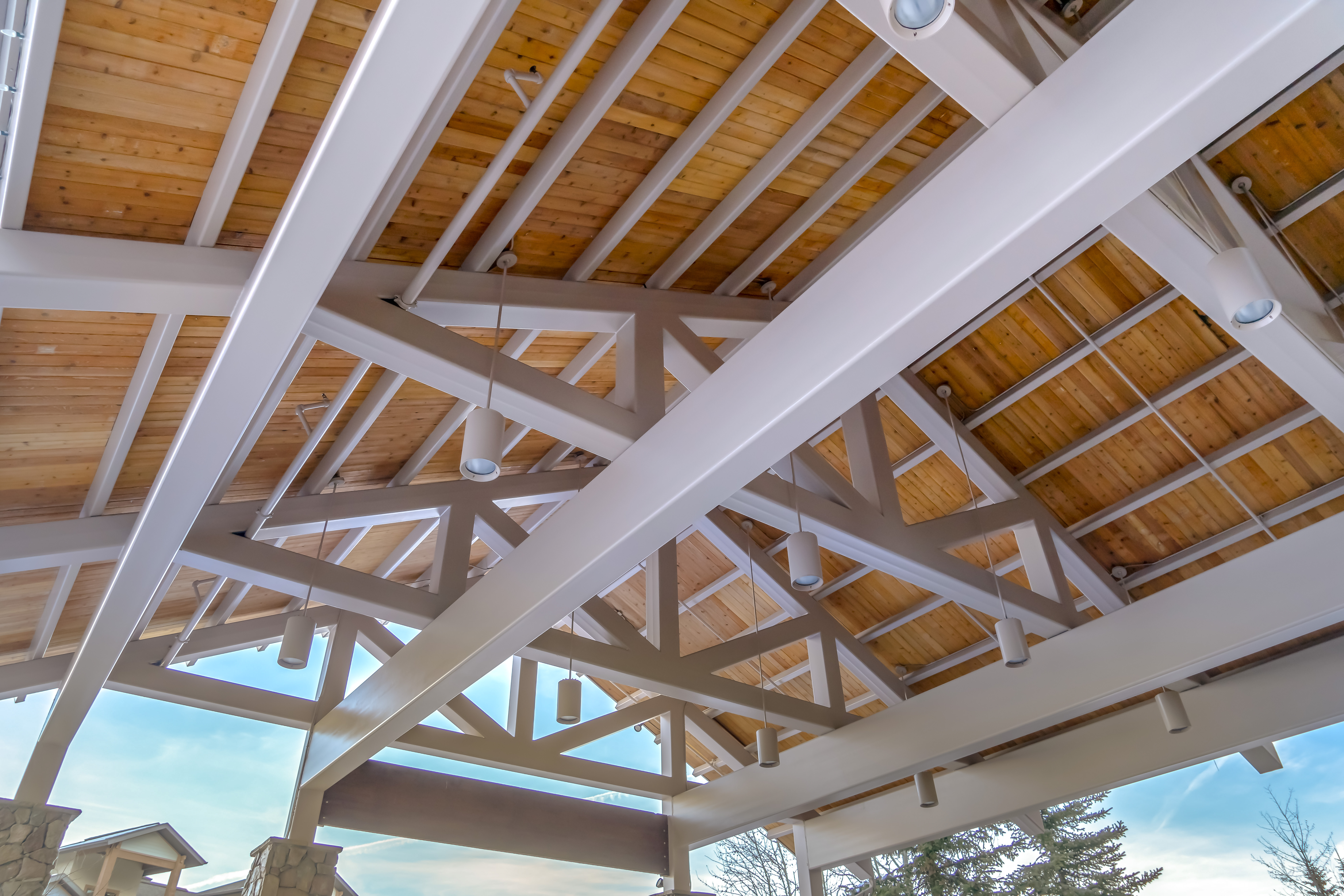 Purlin roof