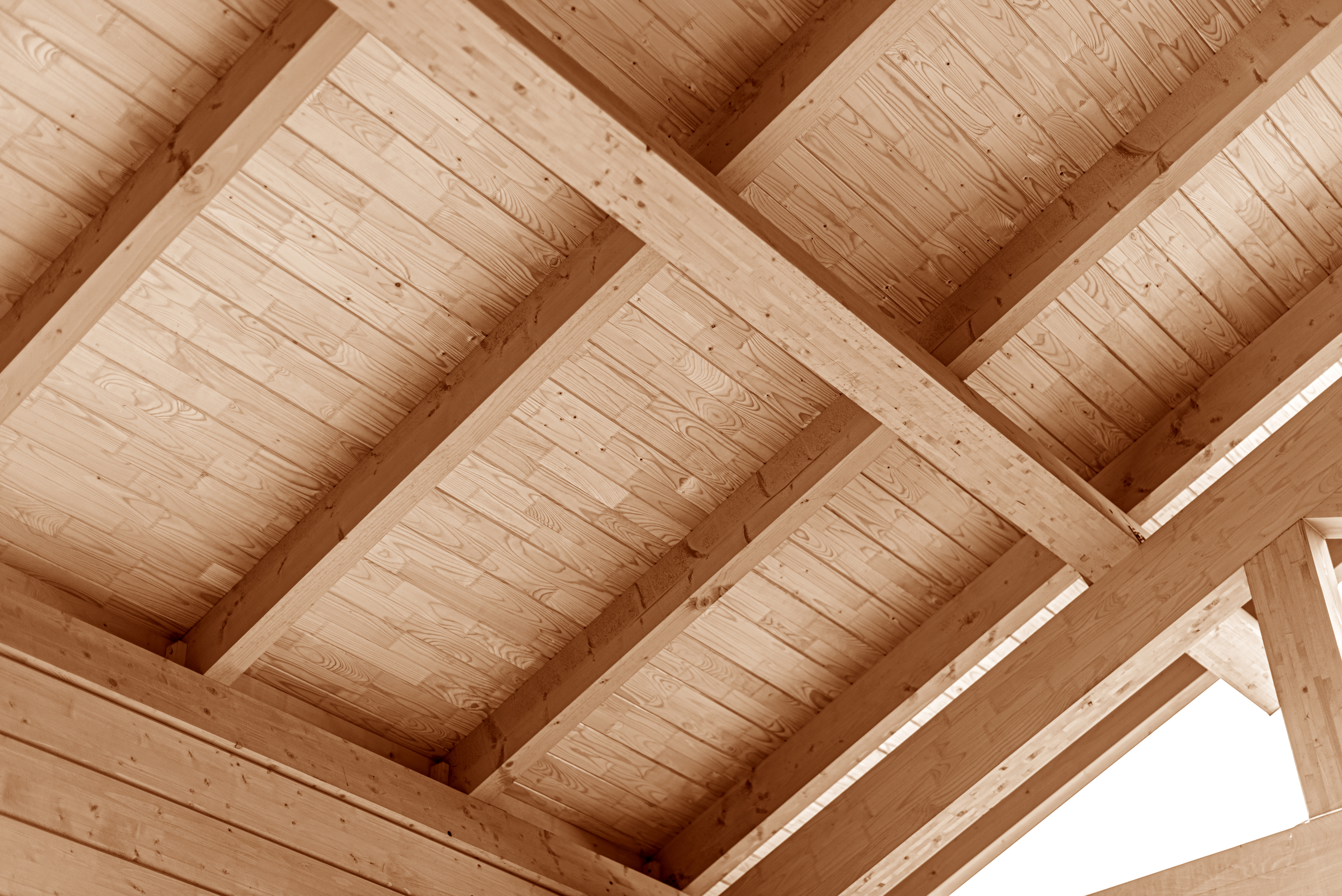 Rafter roof